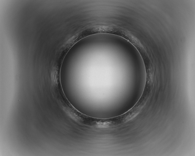 X0000116430450200912081527