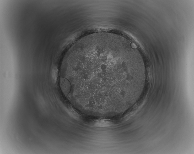 X0000116430451200912081527