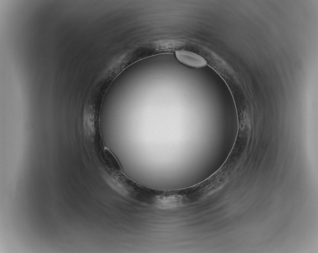 X0000116430452200912081527