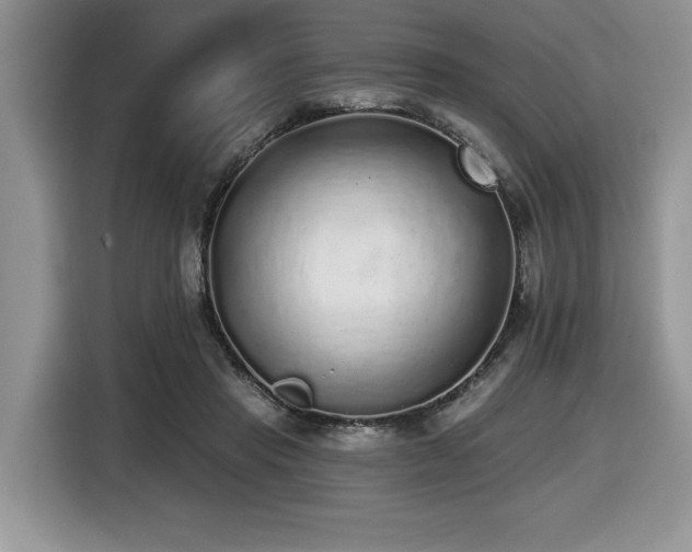 X0000116430453200912081527