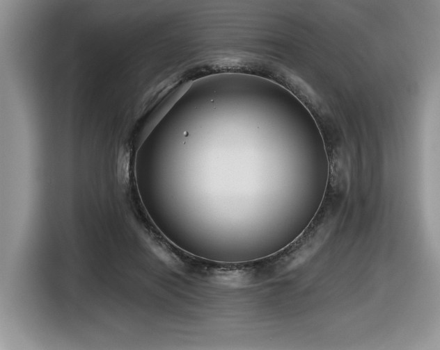 X0000116430454200912081527