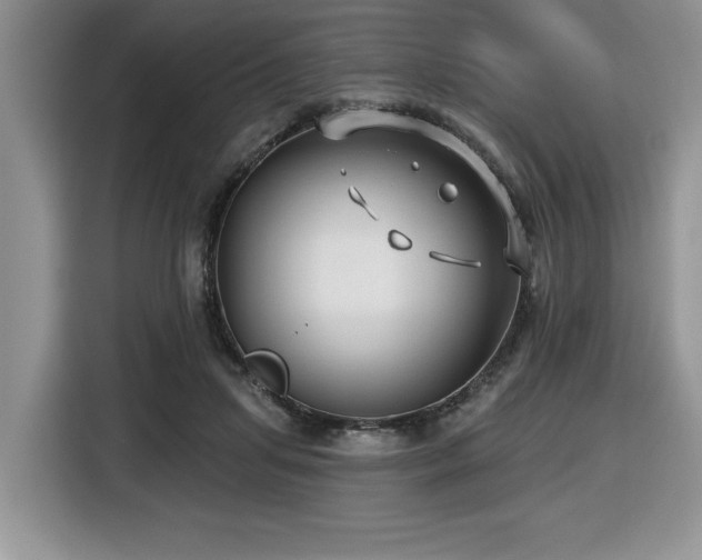 X0000116430455200912081527