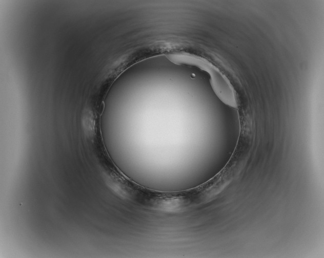 X0000116430456200912081527