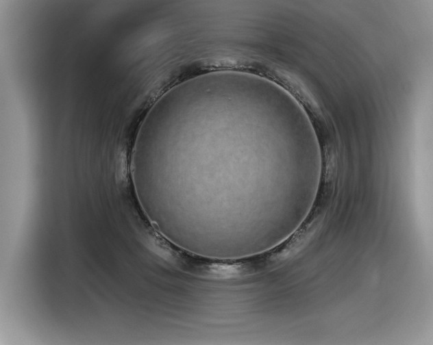 X0000116430457200912081527