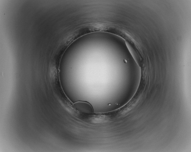 X0000116430459200912081528