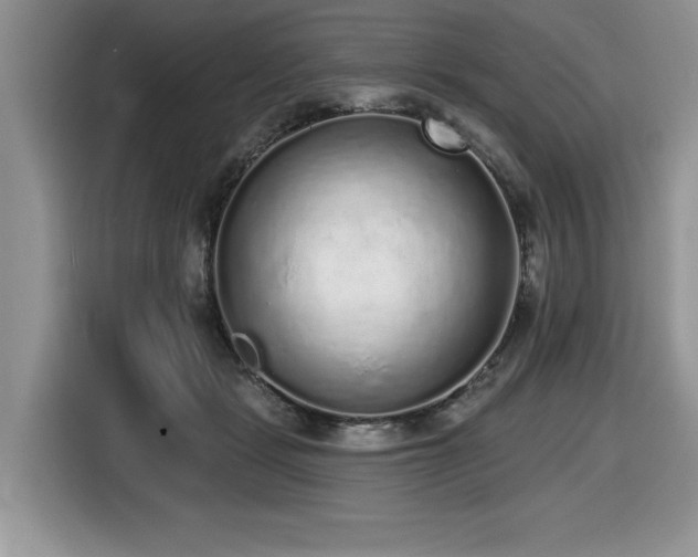 X0000116430461200912081528