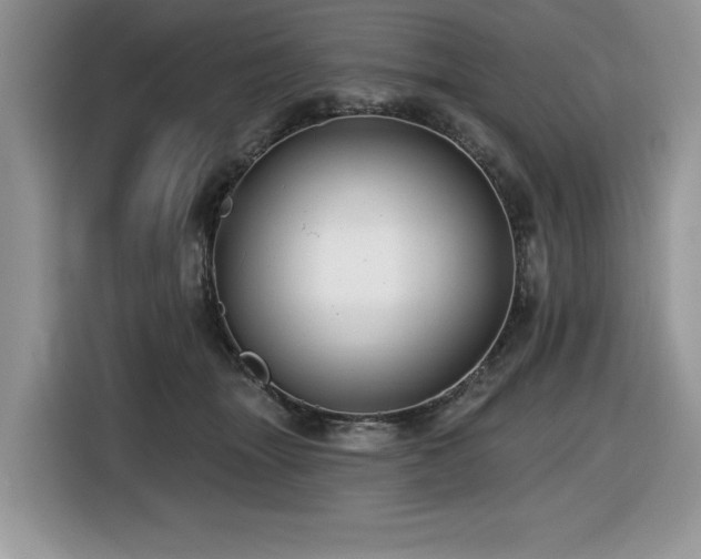 X0000116430463200912081528