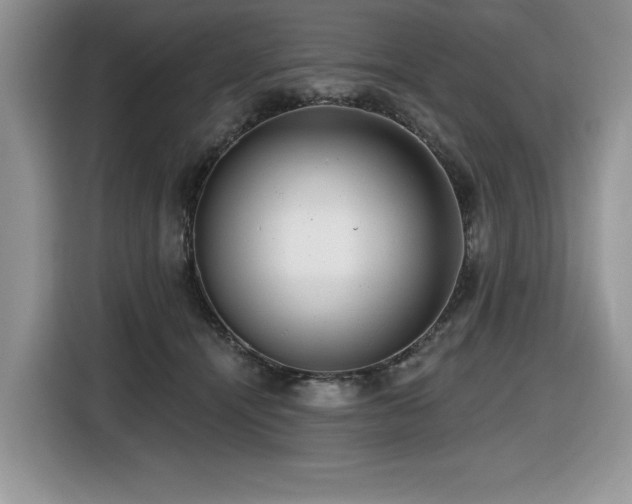 X0000116430464200912081528