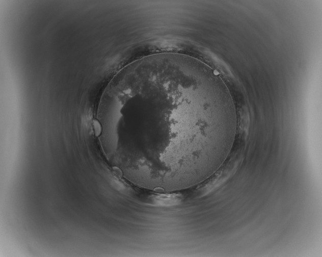 X0000116430465200912081528