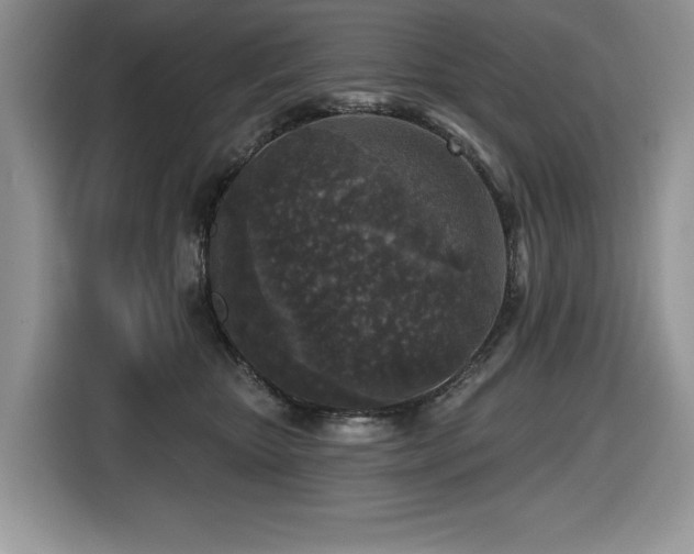 X0000116430467200912081528