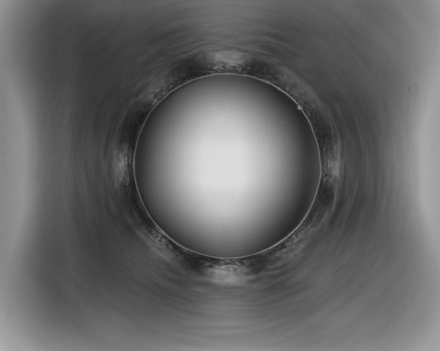 X0000116430468200912081528