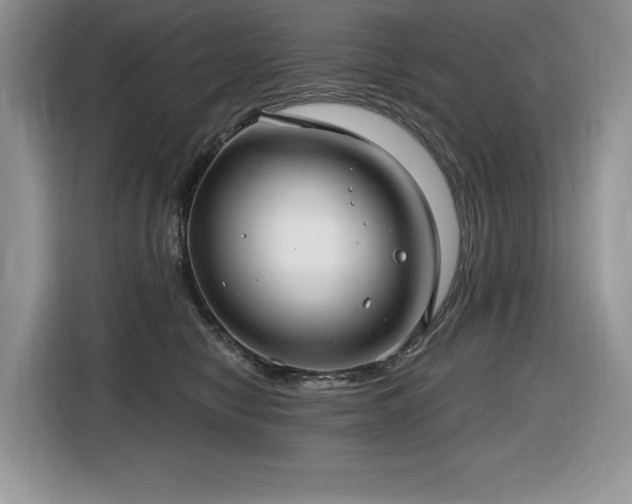 X0000116430470200912081528