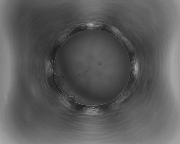 X0000116430471200912081528