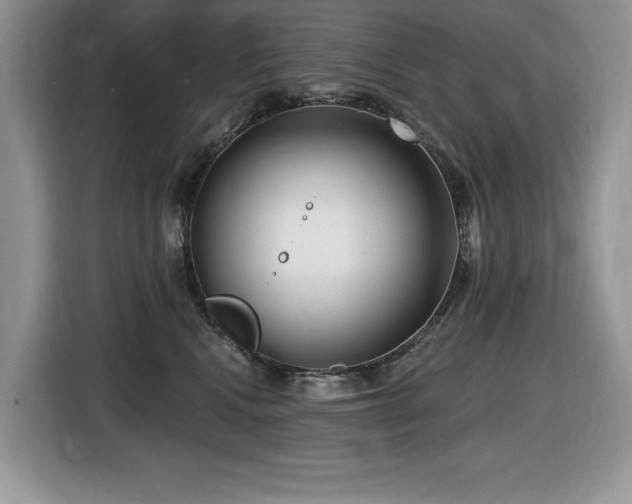X0000116430472200912081528