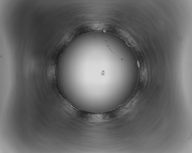 X0000116430473200912081528