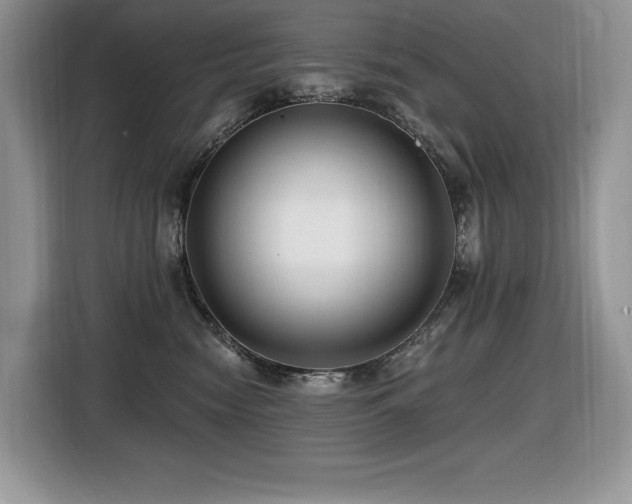 X0000116430474200912081528