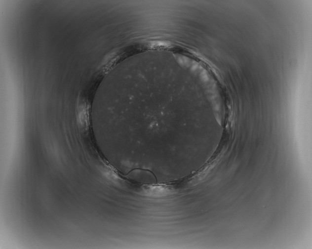 X0000116430475200912081528