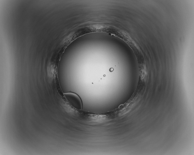 X0000116430476200912081528