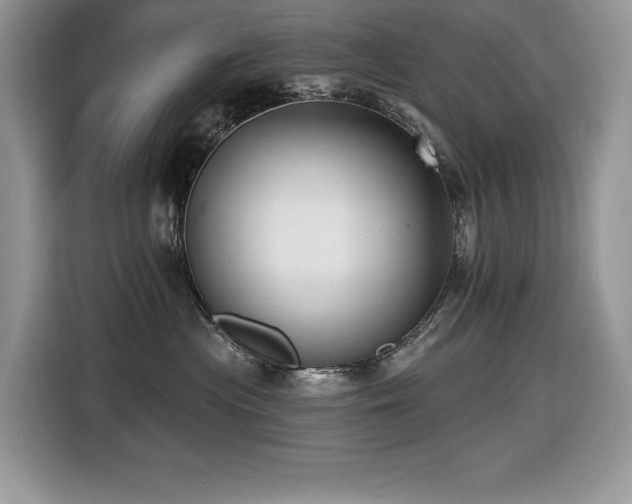 X0000116430477200912081528