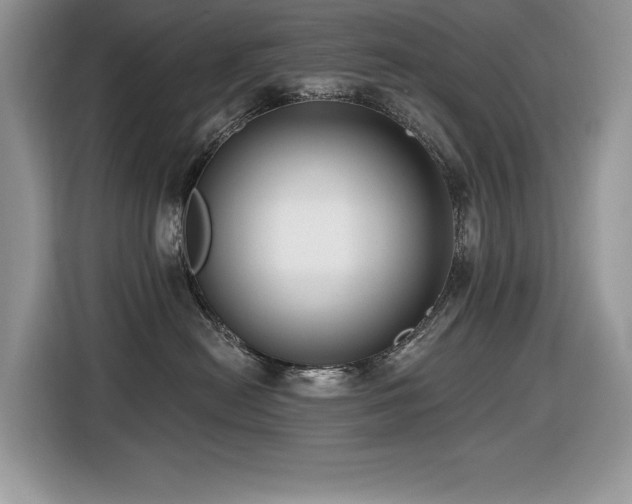 X0000116430478200912081528