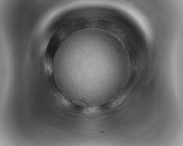 X0000116430479200912081528