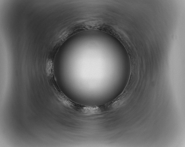 X0000116430480200912081528
