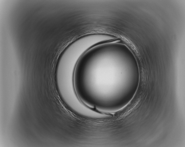 X0000116430481200912081527