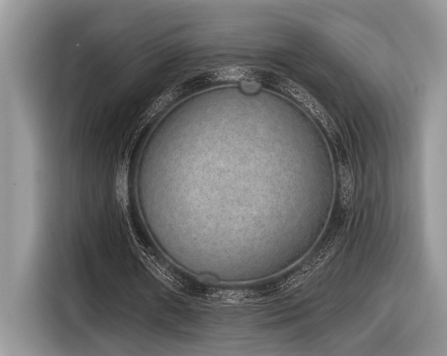 X0000116430482200912081527