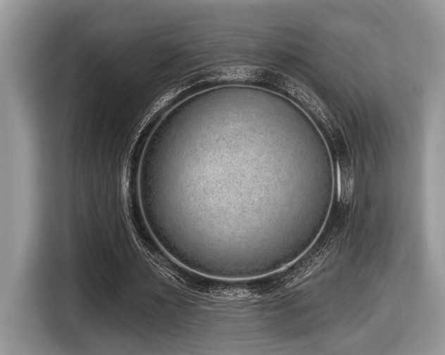 X0000116430483200912081527