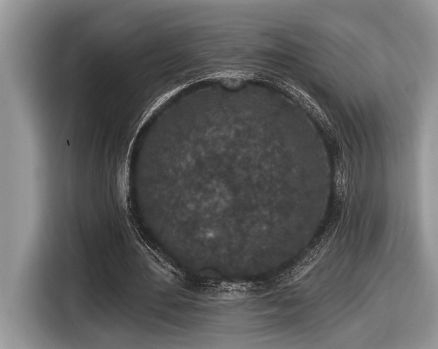 X0000116430484200912081527
