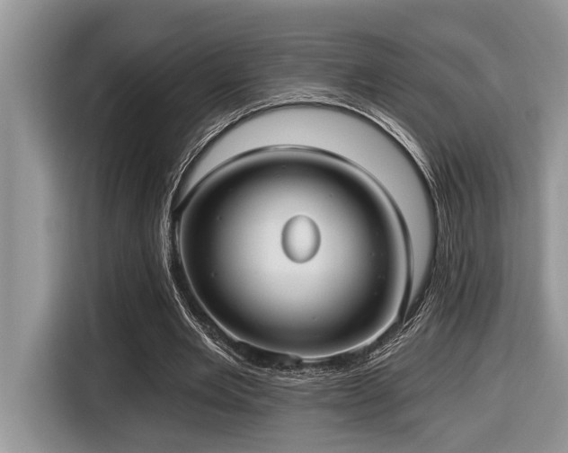 X0000116430485200912081527