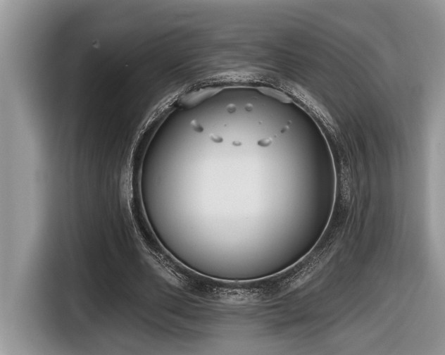 X0000116430486200912081527