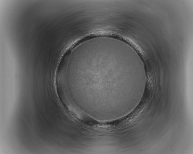 X0000116430487200912081527
