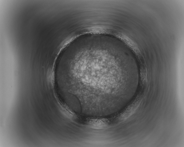 X0000116430488200912081527
