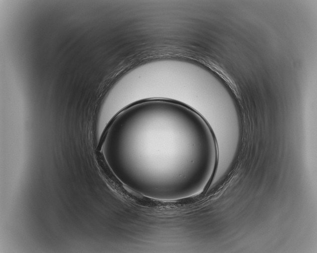 X0000116430489200912081527