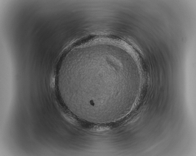 X0000116430491200912081527