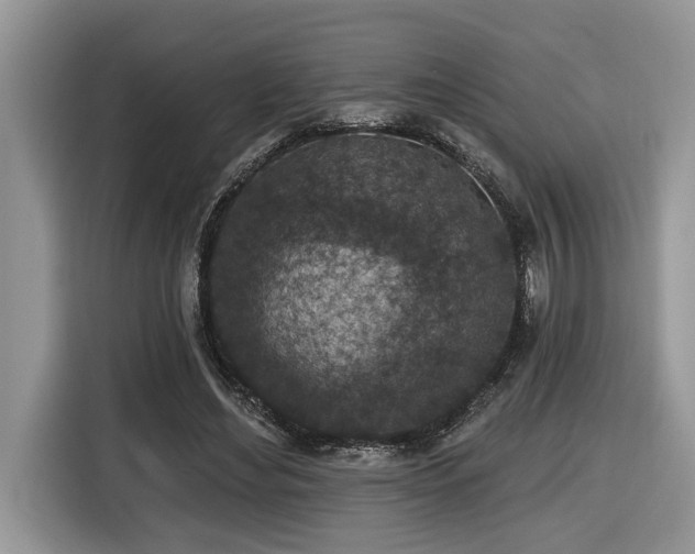 X0000116430492200912081527