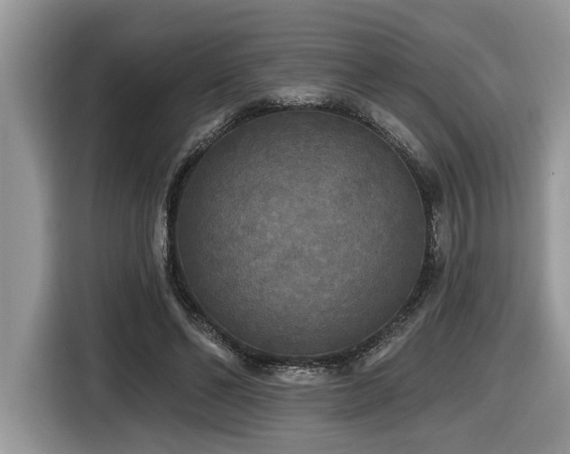 X0000116430494200912081527