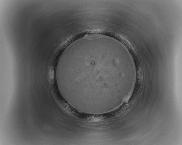 X0000116430495200912081527