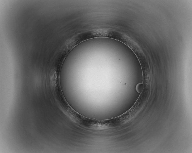 X0000116430498200912081527