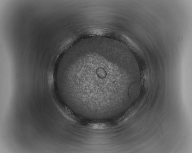 X0000116430500200912081527