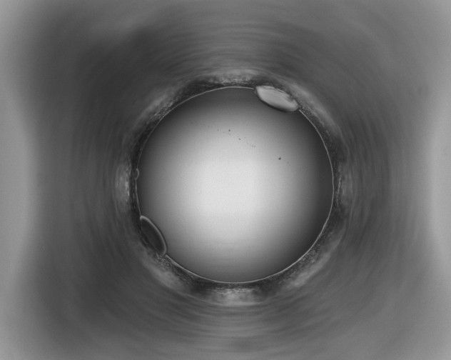 X0000116430501200912081527