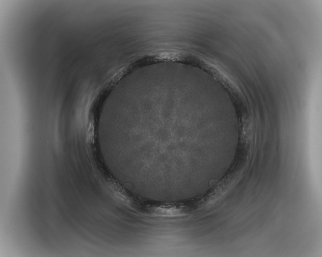X0000116430502200912081527