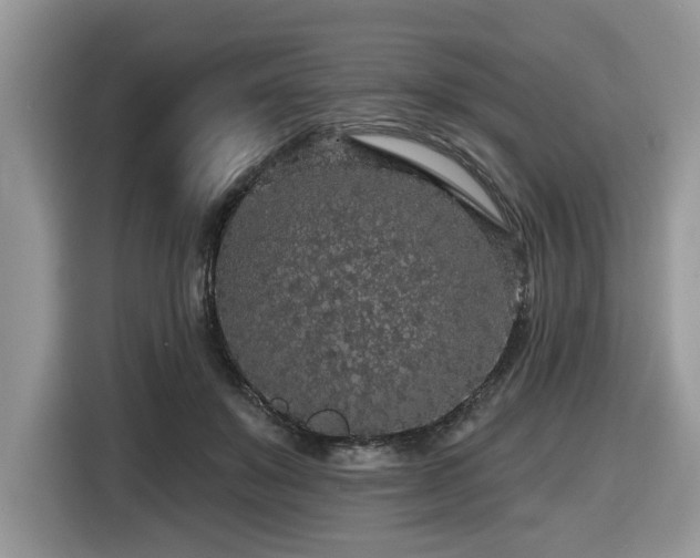 X0000116430503200912081527