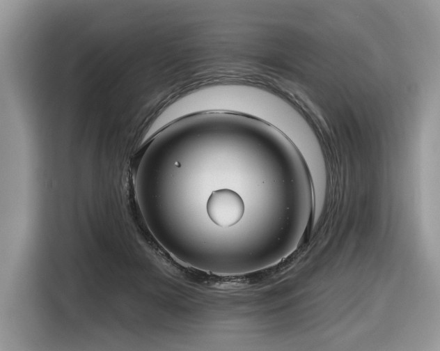 X0000116430505200912081527