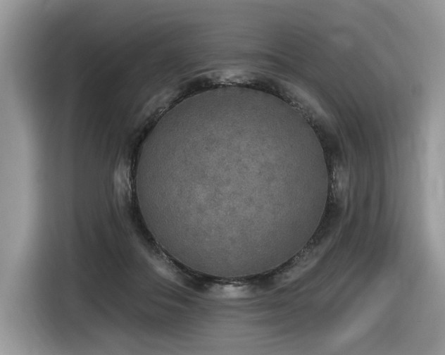 X0000116430506200912081527