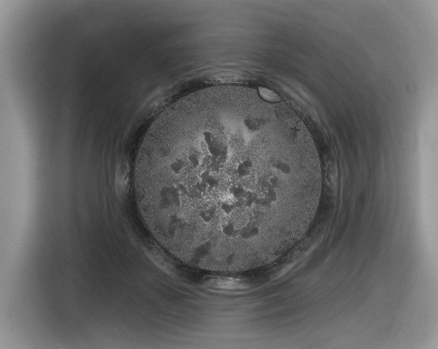 X0000116430507200912081527