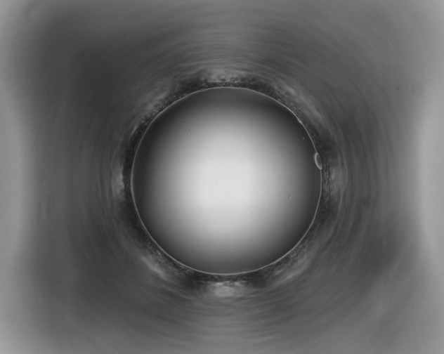 X0000116430508200912081527