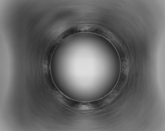 X0000116430510200912081527