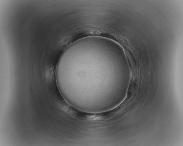 X0000116430511200912081527